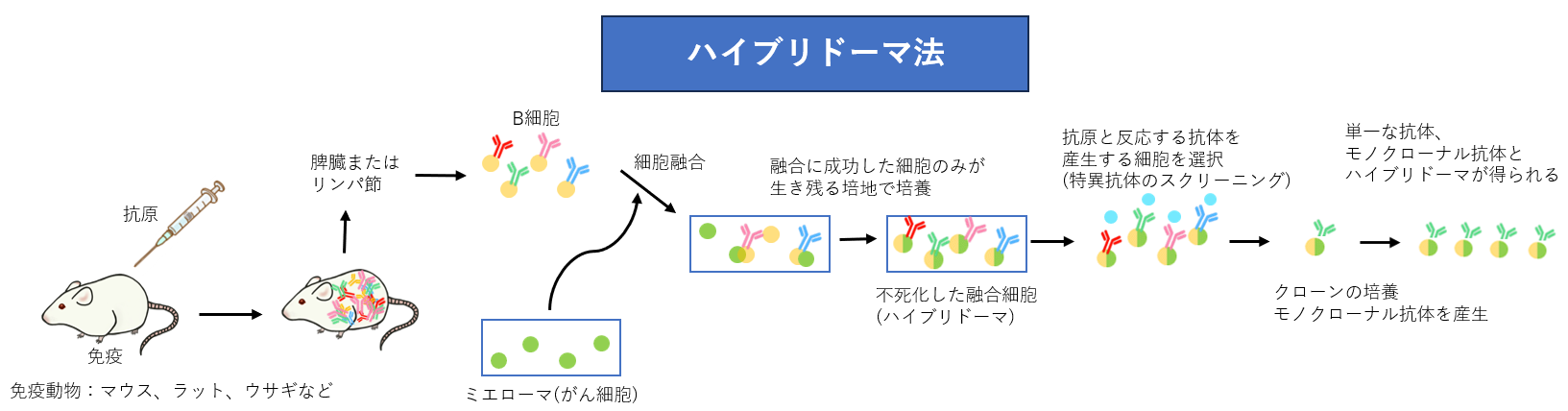 スクリーンショット 2023-12-18 150235