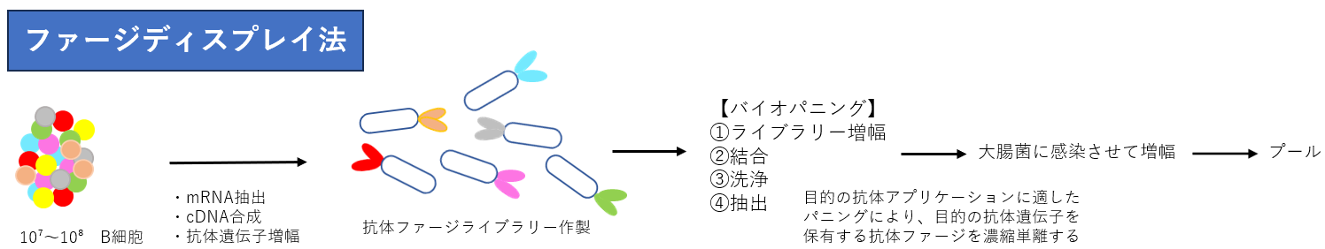 スクリーンショット 2023-12-18 161623